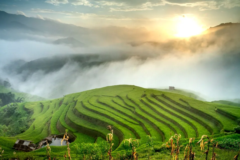 Kho gạo của Trần Minh Điền